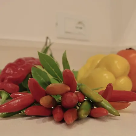 4 Chianche Apartment Ostuni